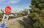 CSX 2504 and 6442